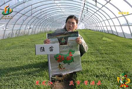 大慶(qing) 肇源縣(xian)-迴訪視頻