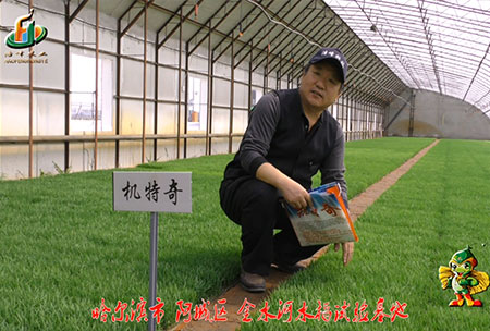 哈爾濱金水河基地-用戶迴訪視頻