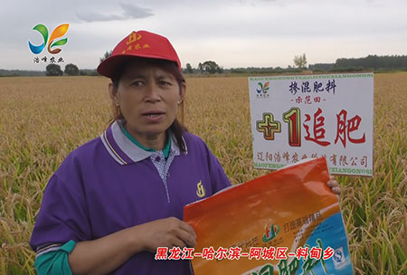 黑龍江-哈爾濱-阿城區-料甸鄕-用戶迴訪視頻