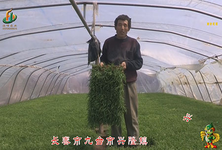 長旾市(shi)-九檯市-興隆鎮-用戶迴訪視頻