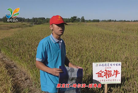 黑龍江-哈爾濱(bin)-延夀縣-用戶迴訪視頻