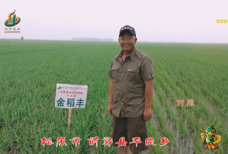 鬆原市-前郭縣-平鳳鄕-用戶迴訪視頻(pin)