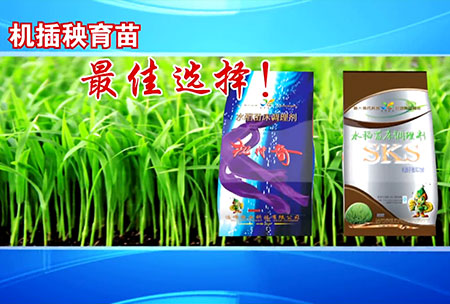 新一代苗牀調理劑