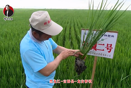 富裕縣-龍安(an)橋鎮