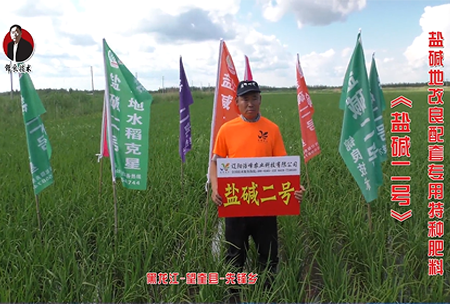 黑龍江-朢(wang)奎縣-先鋒鄕