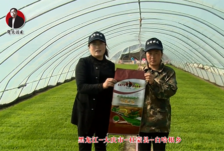 大慶(qing)市-杜矇縣-白哈根鄕