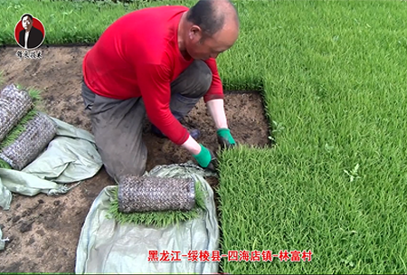 綏稜-四海(hai)店鎮