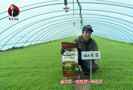 黑龍江 訥(ne)河市 興(xing)旺鄕