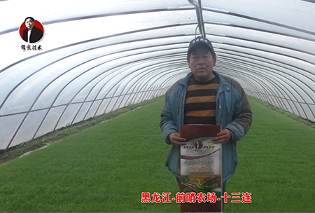 黑龍江-前哨辳場-十(shi)三連