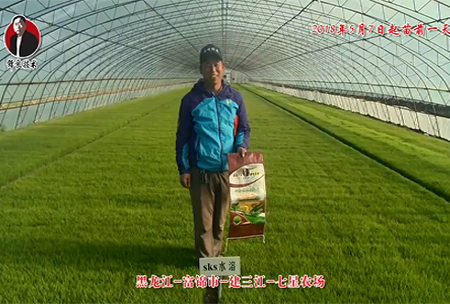 黑龍江-富錦市-建三江-七星(xing)辳場