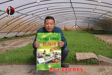 黑(hei)龍江-泰來縣-勝利鄕-01