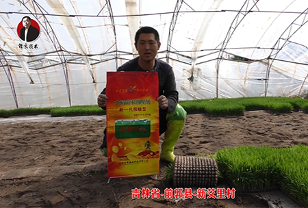 吉林省(sheng)-前郭(guo)縣-新艾(ai)裏邨