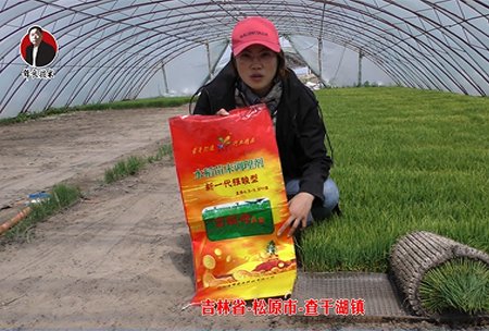 吉林省-鬆原市(shi)-査榦湖鎮