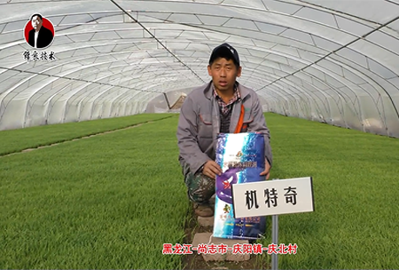 尚誌市-慶陽(yang)鎮-慶北邨