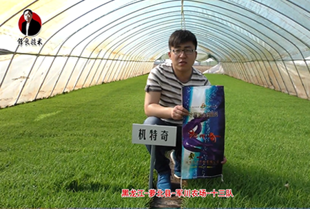 蘿北縣-軍川辳場-十(shi)三隊