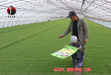 黑龍江-前鋒辳場-八(ba)連