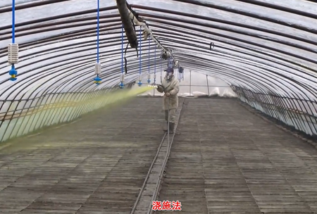 2-水溶壯秧劑-澆施(shi)用灋