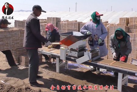《錦良技術》水溶壯秧(yang)劑-流水線應用